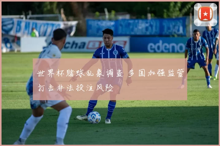 世界杯赌球乱象调查 多国加强监管打击非法投注风险
