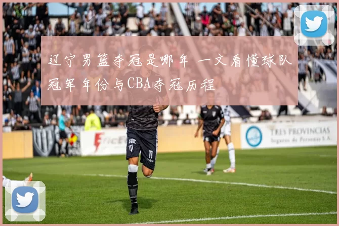 辽宁男篮夺冠是哪年 一文看懂球队冠军年份与CBA夺冠历程