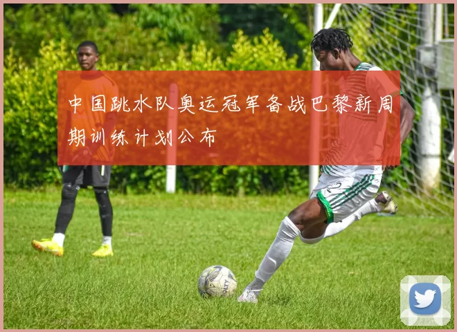 中国跳水队奥运冠军备战巴黎新周期训练计划公布