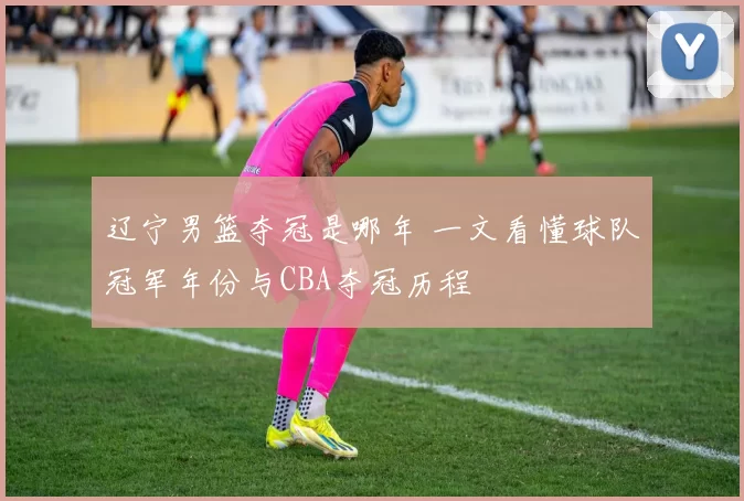 辽宁男篮夺冠是哪年 一文看懂球队冠军年份与CBA夺冠历程