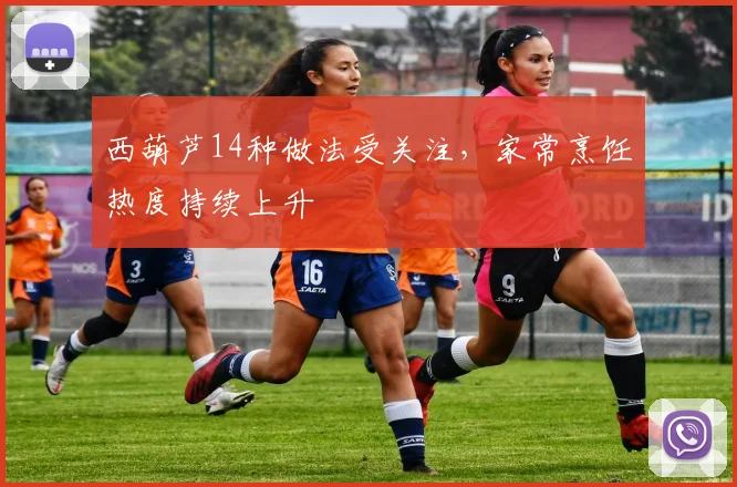 西葫芦14种做法受关注，家常烹饪热度持续上升