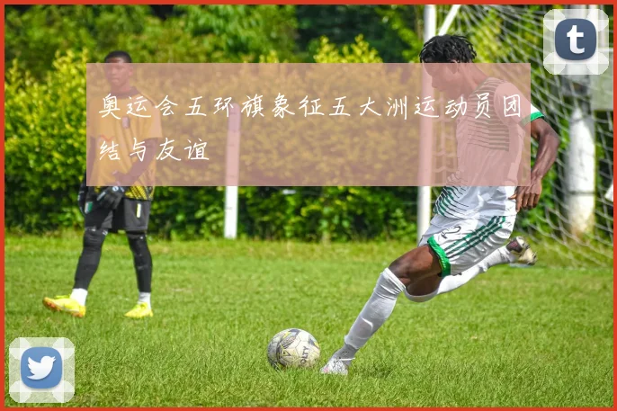 奥运会五环旗象征五大洲运动员团结与友谊