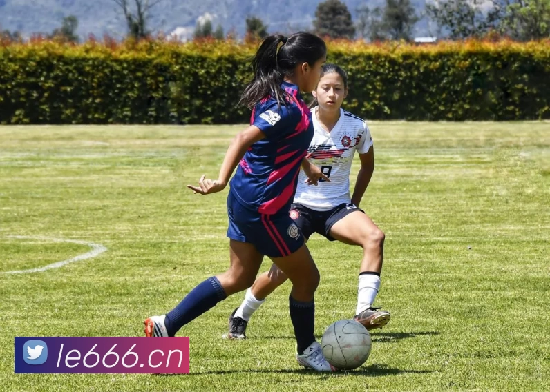 男篮国手李根确认离婚 退役生活近况及家庭影响引关注